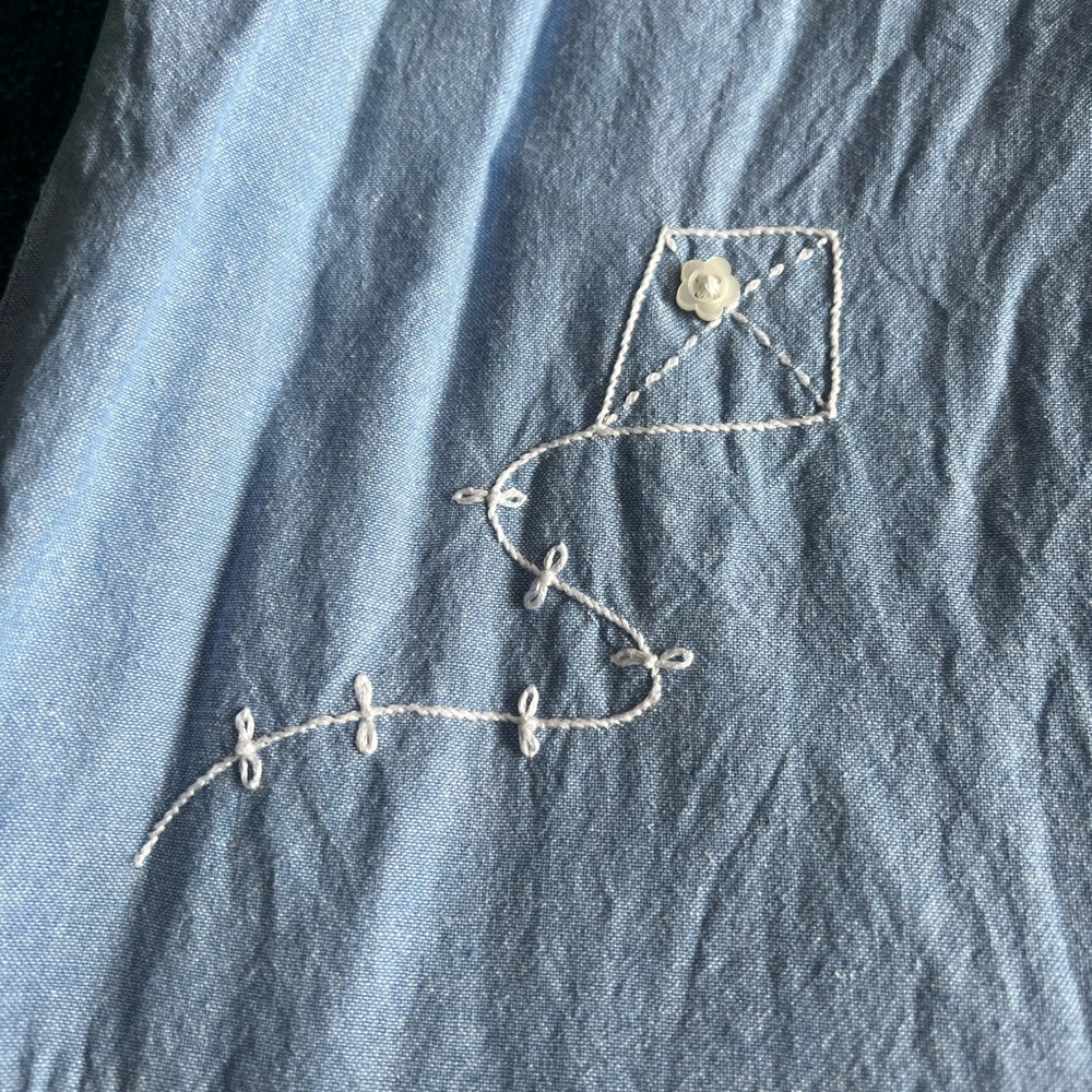Well Dressed Wolf Blue Kite 🪁 Set - Picture 3 of 4